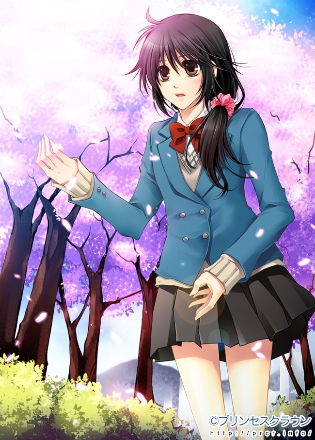 桜千鶴